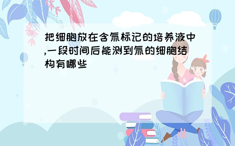 把细胞放在含氚标记的培养液中,一段时间后能测到氚的细胞结构有哪些