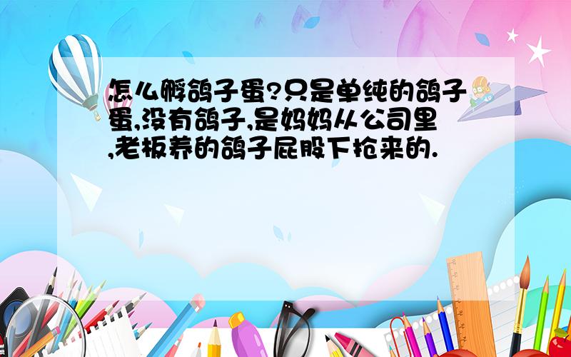 怎么孵鸽子蛋?只是单纯的鸽子蛋,没有鸽子,是妈妈从公司里,老板养的鸽子屁股下抢来的.