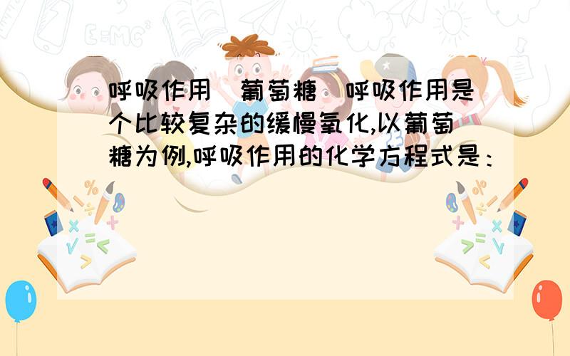 呼吸作用(葡萄糖)呼吸作用是个比较复杂的缓慢氧化,以葡萄糖为例,呼吸作用的化学方程式是：