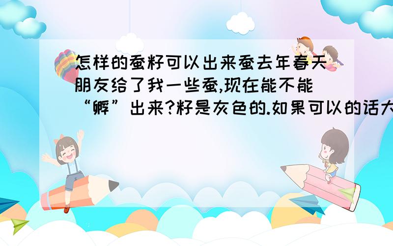 怎样的蚕籽可以出来蚕去年春天朋友给了我一些蚕,现在能不能“孵”出来?籽是灰色的.如果可以的话大概什么时候可以出来?