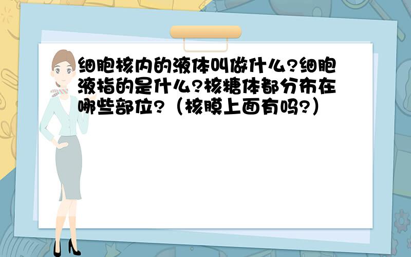 细胞核内的液体叫做什么?细胞液指的是什么?核糖体都分布在哪些部位?（核膜上面有吗?）