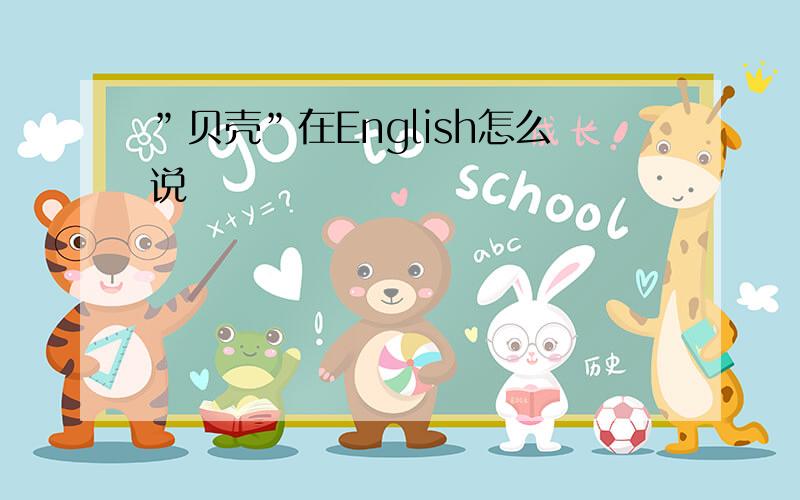 ”贝壳”在English怎么说