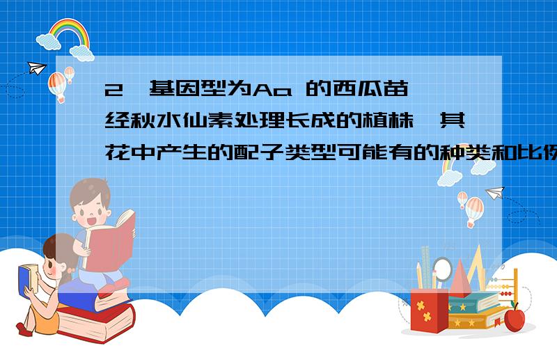 2、基因型为Aa 的西瓜苗,经秋水仙素处理长成的植株,其花中产生的配子类型可能有的种类和比例是（）