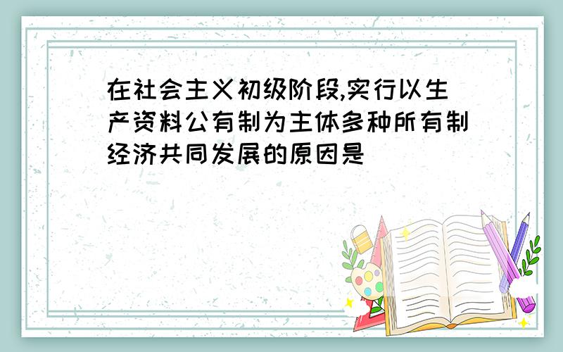 在社会主义初级阶段,实行以生产资料公有制为主体多种所有制经济共同发展的原因是（ ）