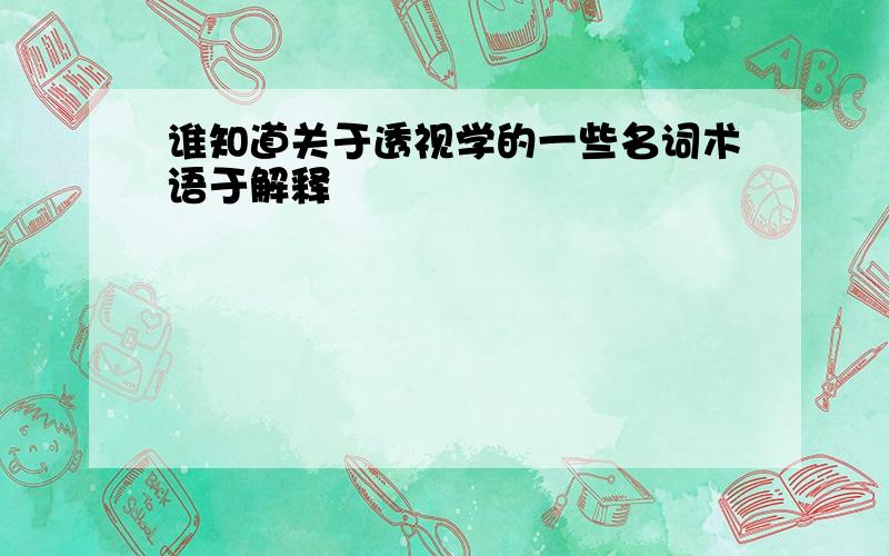 谁知道关于透视学的一些名词术语于解释