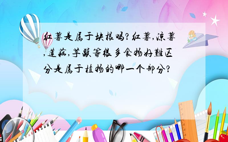 红薯是属于块根吗?红薯,凉薯,莲藕,芋头等很多食物好难区分是属于植物的哪一个部分?