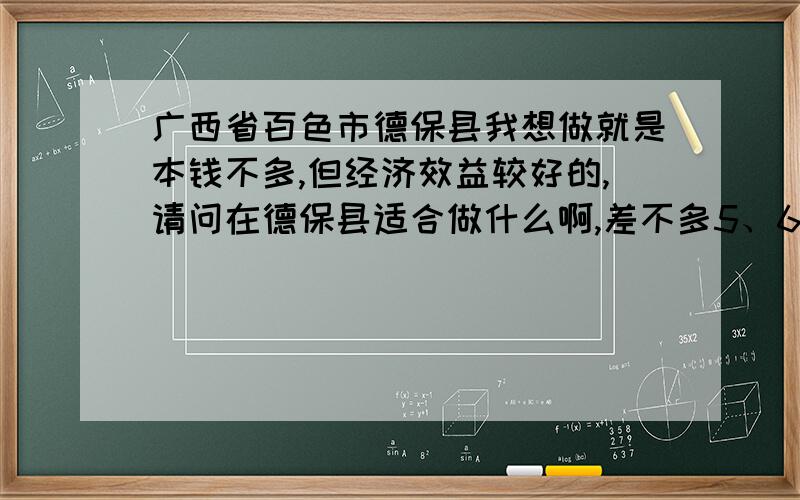 广西省百色市德保县我想做就是本钱不多,但经济效益较好的,请问在德保县适合做什么啊,差不多5、6千块钱的本钱