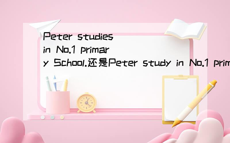 Peter studies in No.1 primary School.还是Peter study in No.1 primary School.