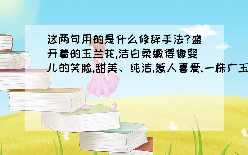 这两句用的是什么修辞手法?盛开着的玉兰花,洁白柔嫩得像婴儿的笑脸,甜美、纯洁,惹人喜爱.一株广玉兰就像是一个数世同堂,生生不息的大家族.