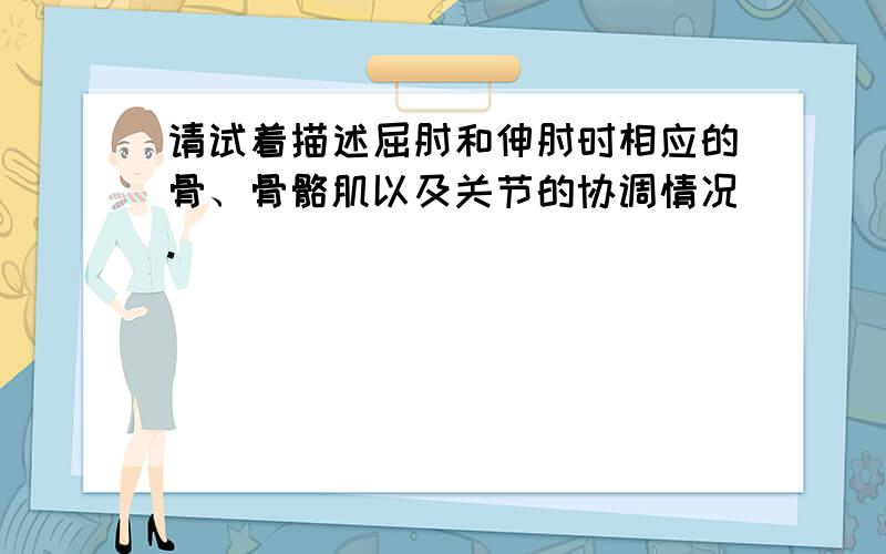 请试着描述屈肘和伸肘时相应的骨、骨骼肌以及关节的协调情况.