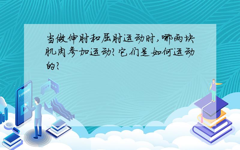 当做伸肘和屈肘运动时,哪两块肌肉参加运动?它们是如何运动的?