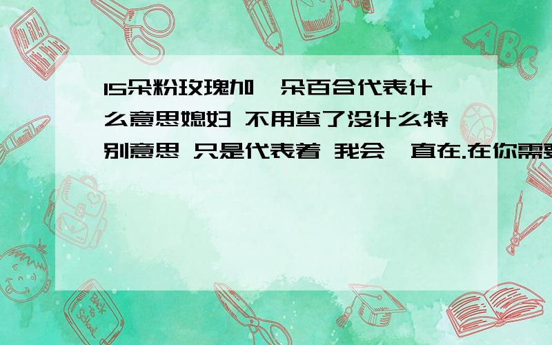 15朵粉玫瑰加一朵百合代表什么意思媳妇 不用查了没什么特别意思 只是代表着 我会一直在.在你需要我的每一个地方.