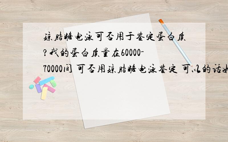 琼脂糖电泳可否用于鉴定蛋白质?我的蛋白质量在60000-70000间 可否用琼脂糖电泳鉴定 可以的话如何设置胶的浓度