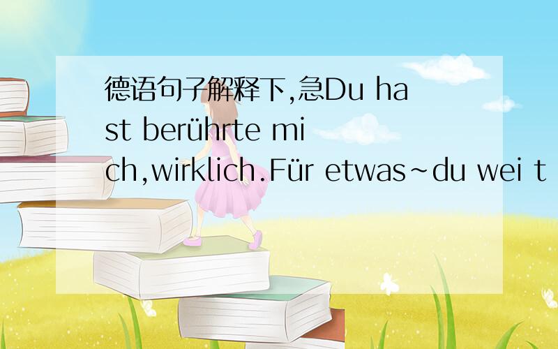 德语句子解释下,急Du hast berührte mich,wirklich.Für etwas~du wei t das~