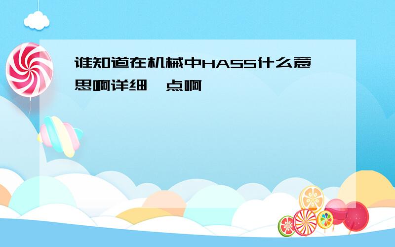 谁知道在机械中HASS什么意思啊详细一点啊