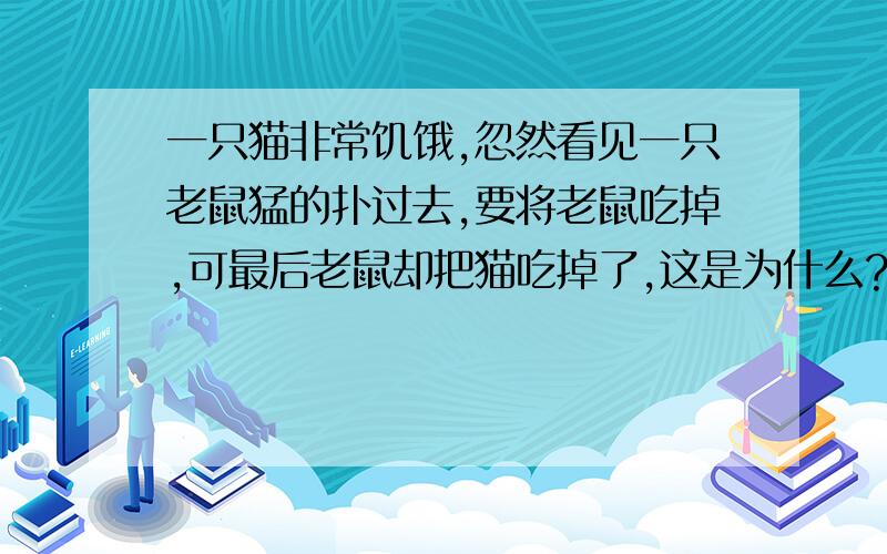 一只猫非常饥饿,忽然看见一只老鼠猛的扑过去,要将老鼠吃掉,可最后老鼠却把猫吃掉了,这是为什么?脑筋急转弯~会的赶快回答