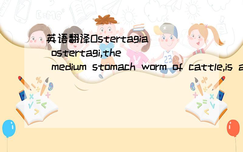 英语翻译Ostertagia ostertagi,the medium stomach worm of cattle,is an economically significant parasite.The adults are found on the mucosa of the abomasums,where male and female mate and produce eggs.Eggs are passed out of the digestive tract in f