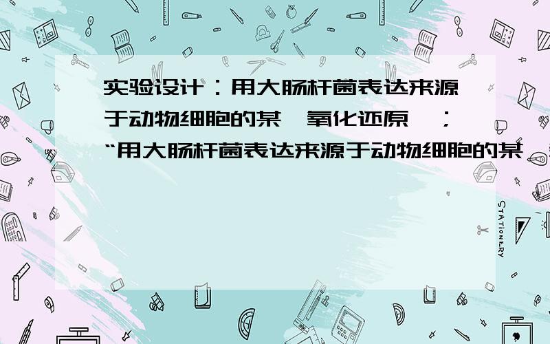 实验设计：用大肠杆菌表达来源于动物细胞的某一氧化还原酶；“用大肠杆菌表达来源于动物细胞的某一氧化还原酶；并利用免疫荧光技术对细胞中的该蛋白进行定位.”希望给一个详细点的