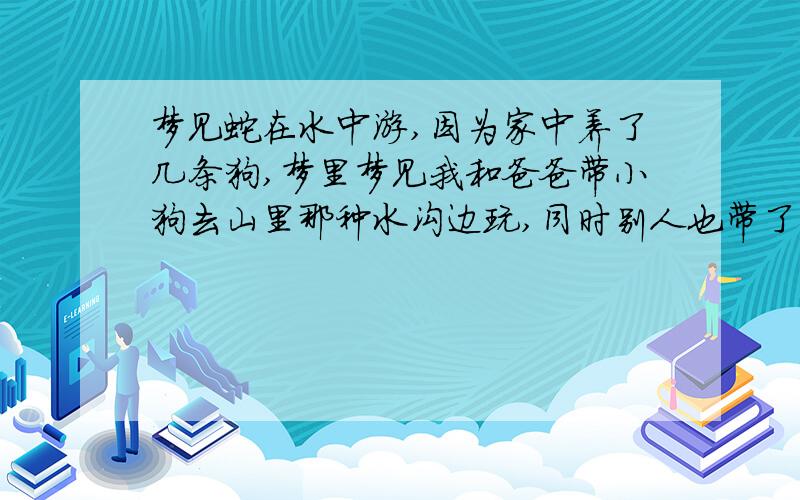 梦见蛇在水中游,因为家中养了几条狗,梦里梦见我和爸爸带小狗去山里那种水沟边玩,同时别人也带了几条狗来玩,别人家喂的一条白色的狗突然跳下河,然后又自己爬上岸来了.我转过头,就看见