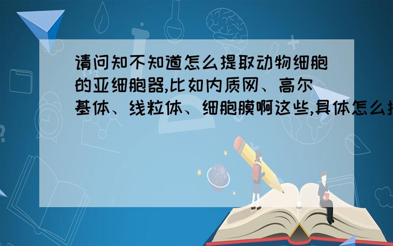 请问知不知道怎么提取动物细胞的亚细胞器,比如内质网、高尔基体、线粒体、细胞膜啊这些,具体怎么操作?