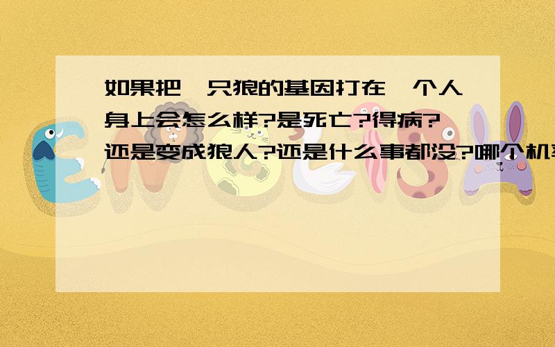 如果把一只狼的基因打在一个人身上会怎么样?是死亡?得病?还是变成狼人?还是什么事都没?哪个机率最大?哪个机率最小?