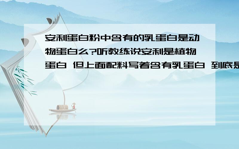 安利蛋白粉中含有的乳蛋白是动物蛋白么?听教练说安利是植物蛋白 但上面配料写着含有乳蛋白 到底是不是动物蛋白?若不是健身后吃了会不会有效果?