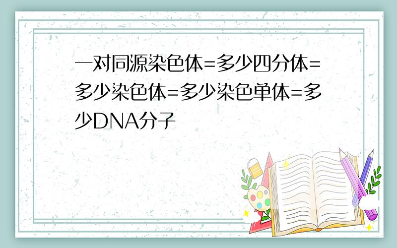 一对同源染色体=多少四分体=多少染色体=多少染色单体=多少DNA分子