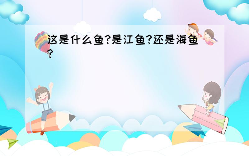 这是什么鱼?是江鱼?还是海鱼?