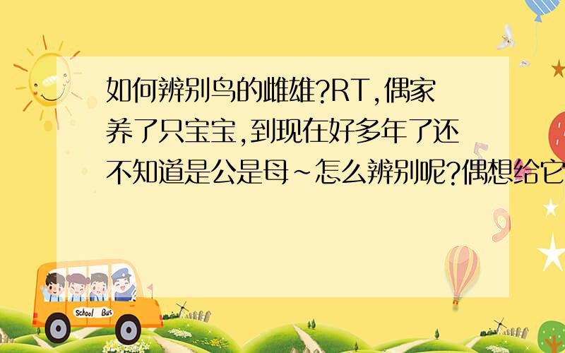 如何辨别鸟的雌雄?RT,偶家养了只宝宝,到现在好多年了还不知道是公是母～怎么辨别呢?偶想给它配对咯我去鸟市 也看过同样品种的,但是好象公母都一样颜色,分不出来 卖鸟的说早上叫的厉害