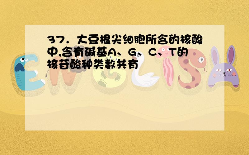 37．大豆根尖细胞所含的核酸中,含有碱基A、G、C、T的核苷酸种类数共有