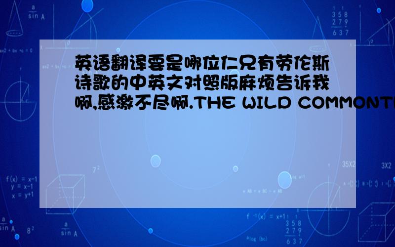 英语翻译要是哪位仁兄有劳伦斯诗歌的中英文对照版麻烦告诉我啊,感激不尽啊.THE WILD COMMONTHE quick sparks on the gorse bushes are leaping,Little jets of sunlight-texture imitating flame;Above them,exultant,the pee-wits a