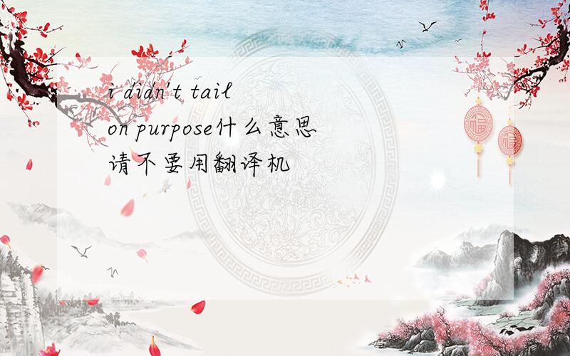 i didn't tail on purpose什么意思请不要用翻译机