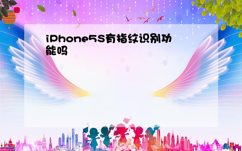 iPhone5S有指纹识别功能吗