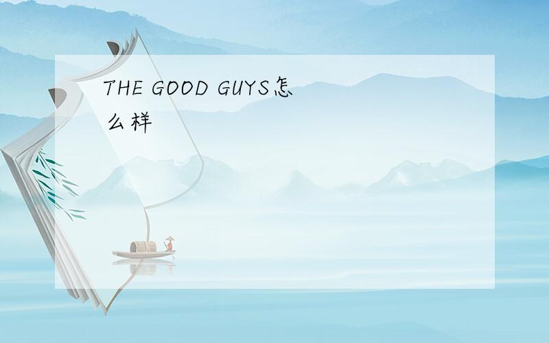 THE GOOD GUYS怎么样