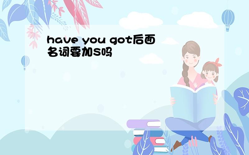 have you got后面名词要加S吗