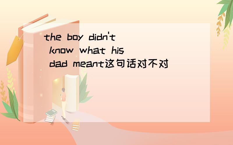 the boy didn't know what his dad meant这句话对不对