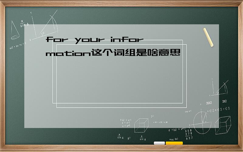 for your information这个词组是啥意思