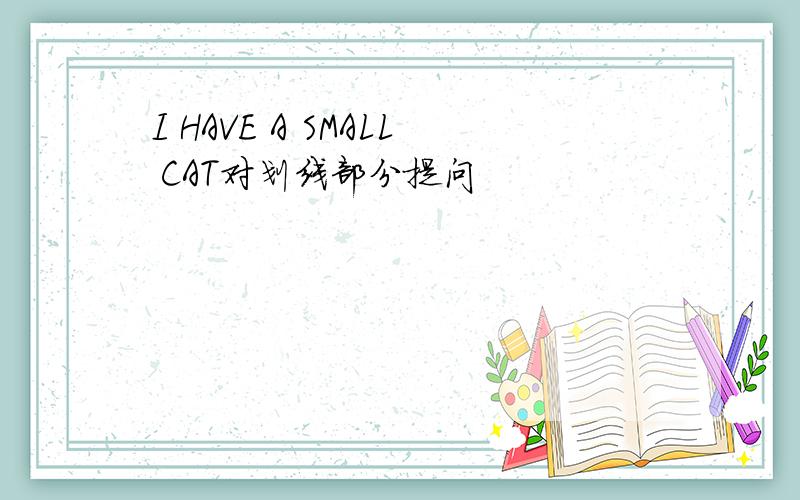 I HAVE A SMALL CAT对划线部分提问