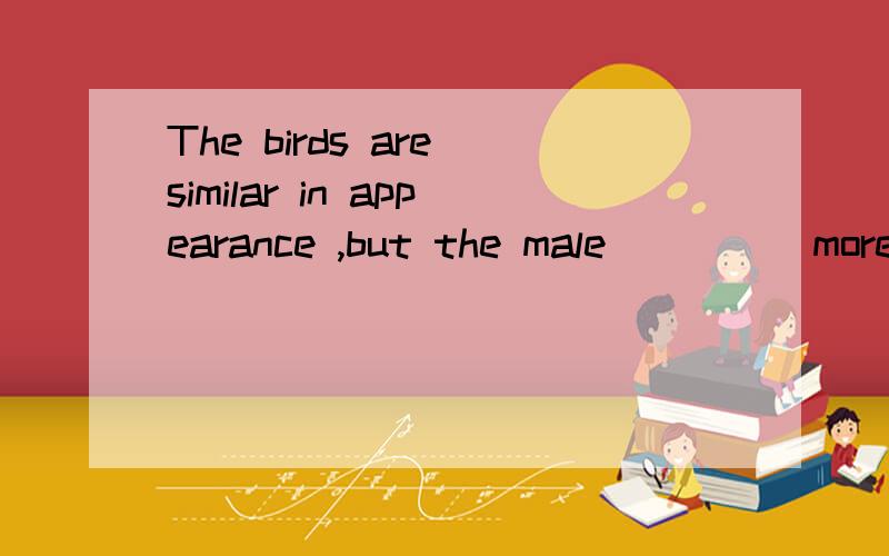 The birds are similar in appearance ,but the male ____ more brightly coloured.问一问这个空填什么,why?why、why?