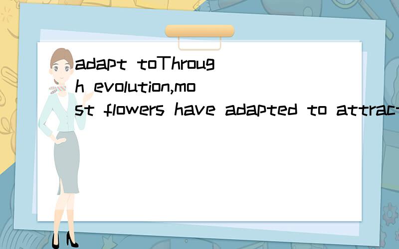 adapt toThrough evolution,most flowers have adapted to attract specific types of pollinators.个句子中adapt to 后面为什么跟的是不定式to attract 而不是to attracting