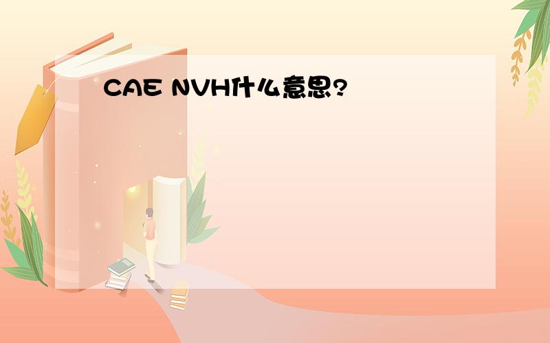 CAE NVH什么意思?