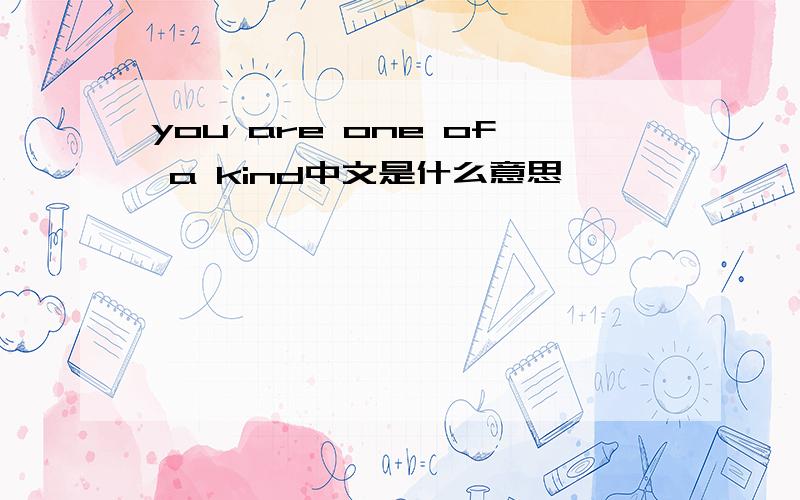 you are one of a kind中文是什么意思