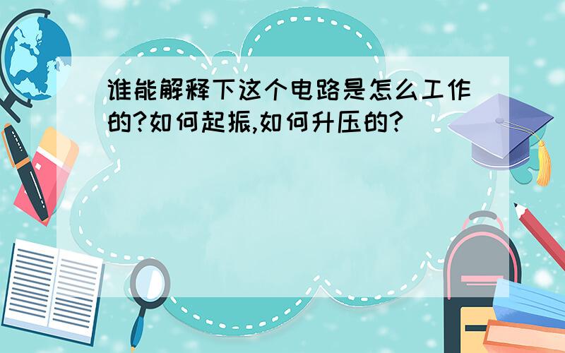 谁能解释下这个电路是怎么工作的?如何起振,如何升压的?