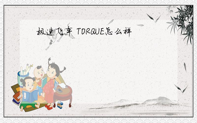 极速飞车 TORQUE怎么样