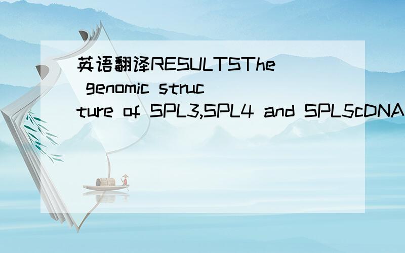 英语翻译RESULTSThe genomic structure of SPL3,SPL4 and SPL5cDNA sequences deposited in GenBank,as well as data from theTiling Array Transcriptome Express Tool (Yamada et al.,2003),indicate that SPL3 (At2g33810) has a complex transcription pattern.