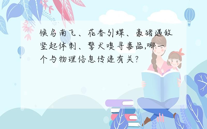 候鸟南飞、花香引蝶、豪猪遇敌竖起体刺、警犬嗅寻毒品,哪一个与物理信息传递有关?