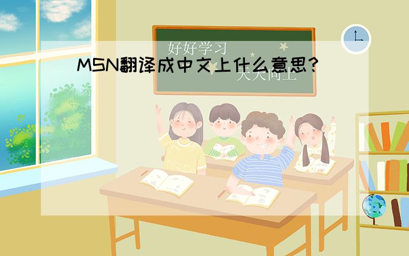 MSN翻译成中文上什么意思?