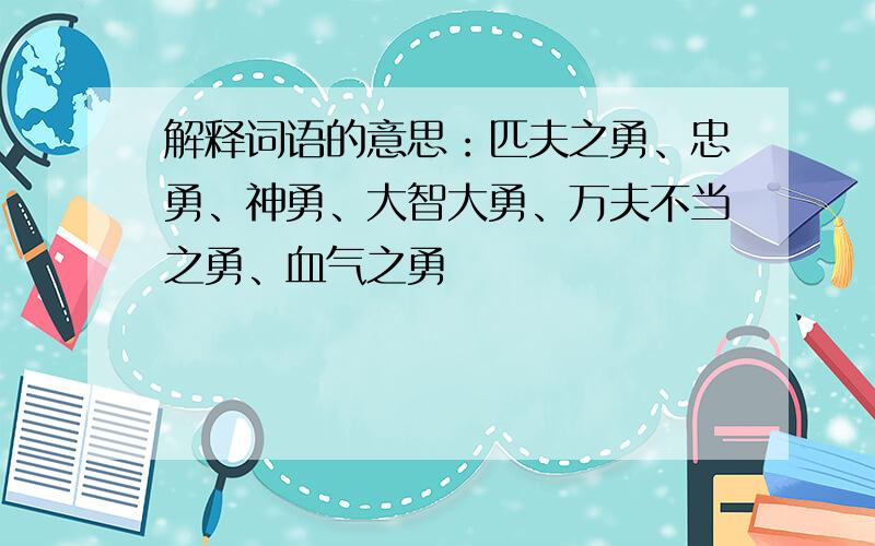 解释词语的意思：匹夫之勇、忠勇、神勇、大智大勇、万夫不当之勇、血气之勇