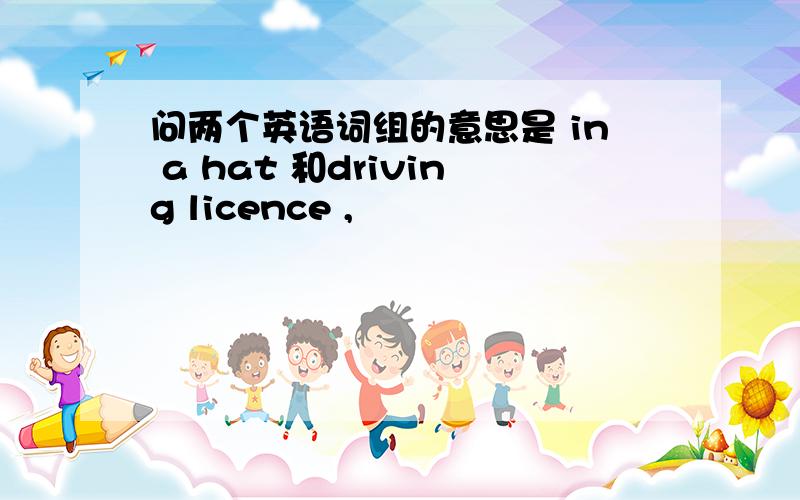 问两个英语词组的意思是 in a hat 和driving licence ,