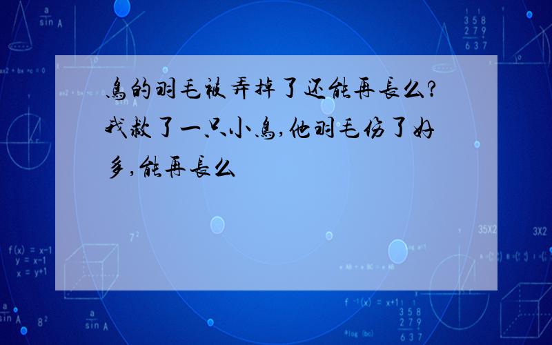 鸟的羽毛被弄掉了还能再长么?我救了一只小鸟,他羽毛伤了好多,能再长么